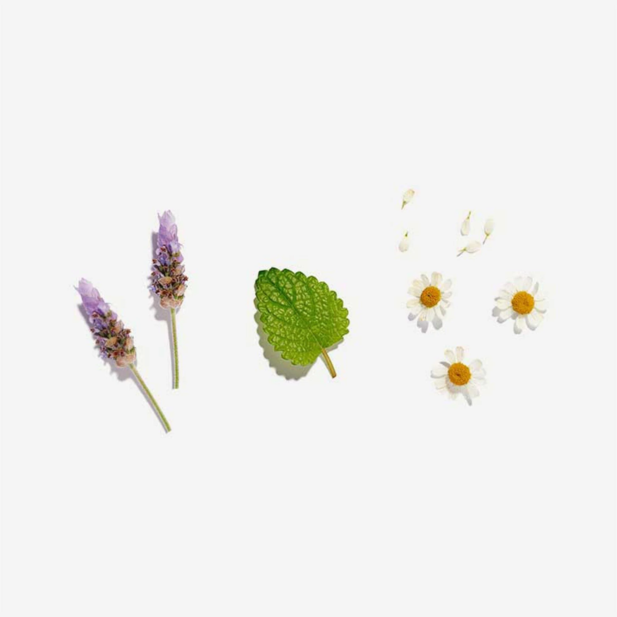 Calming Loose Leaf Tea 50g - Image 3